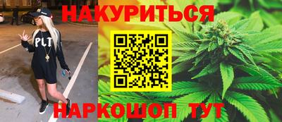 амф Кингисепп