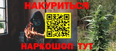 амф Кингисепп