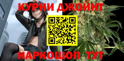 амф Кингисепп