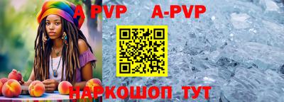 амф Кингисепп